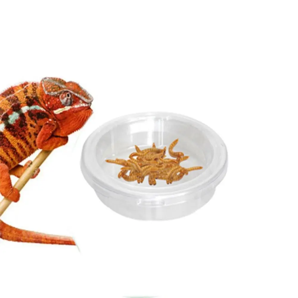 5Pcs Snake Food Con…