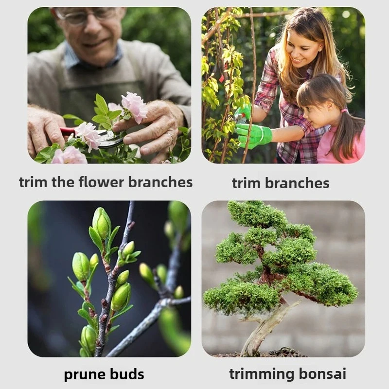 Thumbnail 4 - #16 Gardening Tool Sets Deals & Discounts