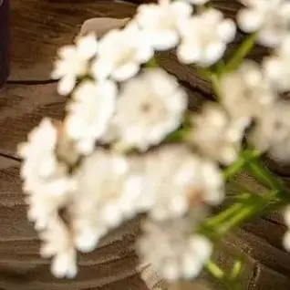 سيارة خشبية الناشرون الضروري النفط-القط باو الدب تصميم العطر الطبيعي تشتت ديكور غرفة نوم الناشر سيارة المنزل العطر #1