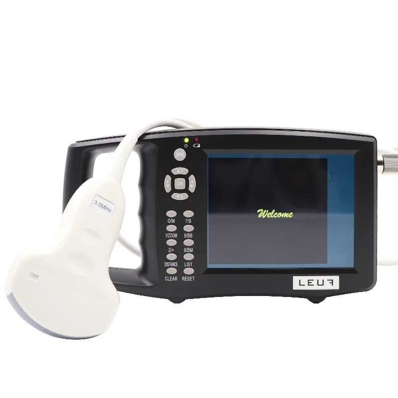 Pig And Sheep B    Ultrasonic Probe Transducer Convex Probe Sale Accessories Veterinary Equipment
