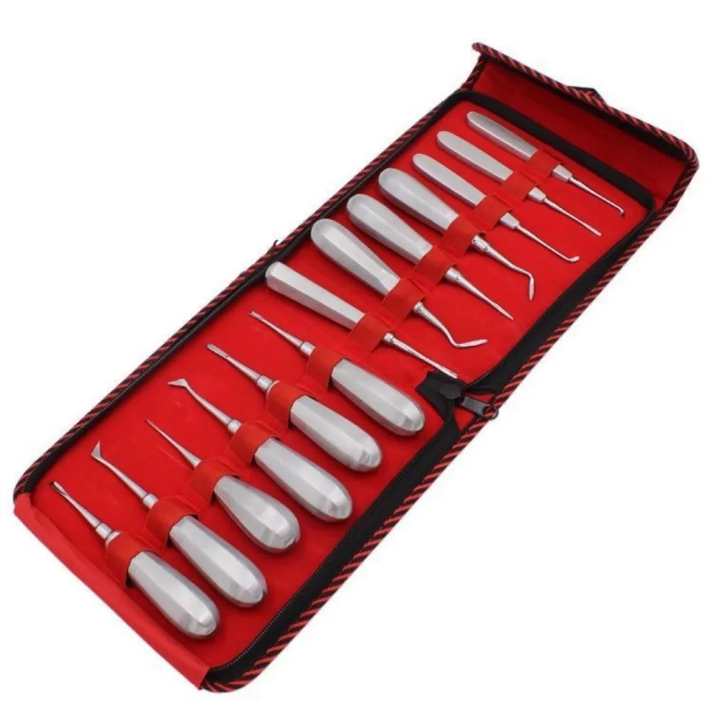 

13 PCS Dental Elevator Kit Stainless Steel Curved Root Lift Elevator Tools Hexagon Handle