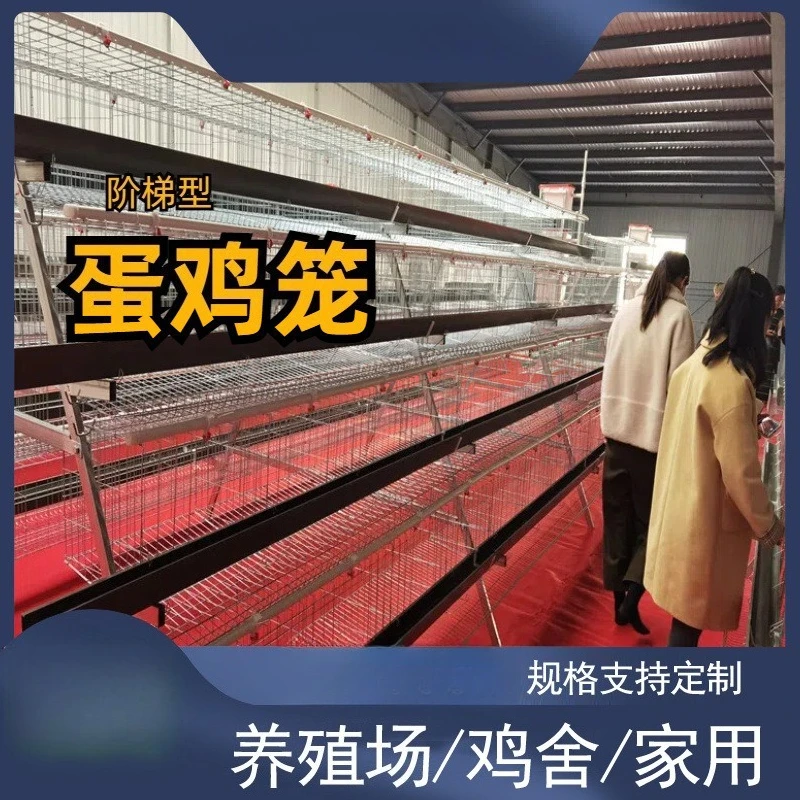 

Ladder Chicken Cage Rack Multi-layer Breeding Equipment Galvanized Wire Breeding Equipment Three Or Four Layers Laying Chicken