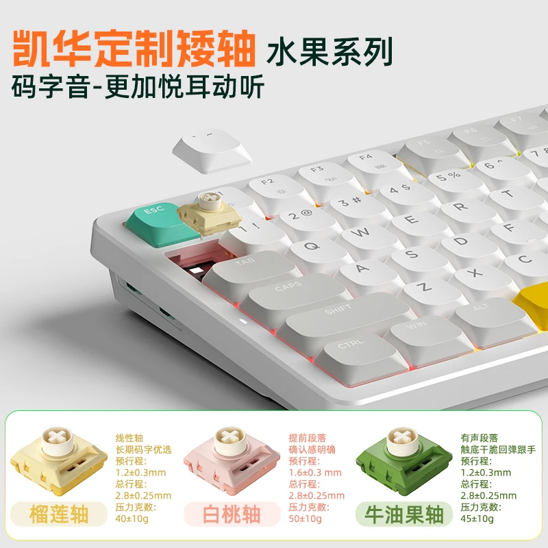 Colorreco A75 Keyboard Mekanis Bluetooth Nirkabel Kustom Tiga Mode Kailh Gasket Poros Kurcaci Sakelar Profil Rendah Kantor