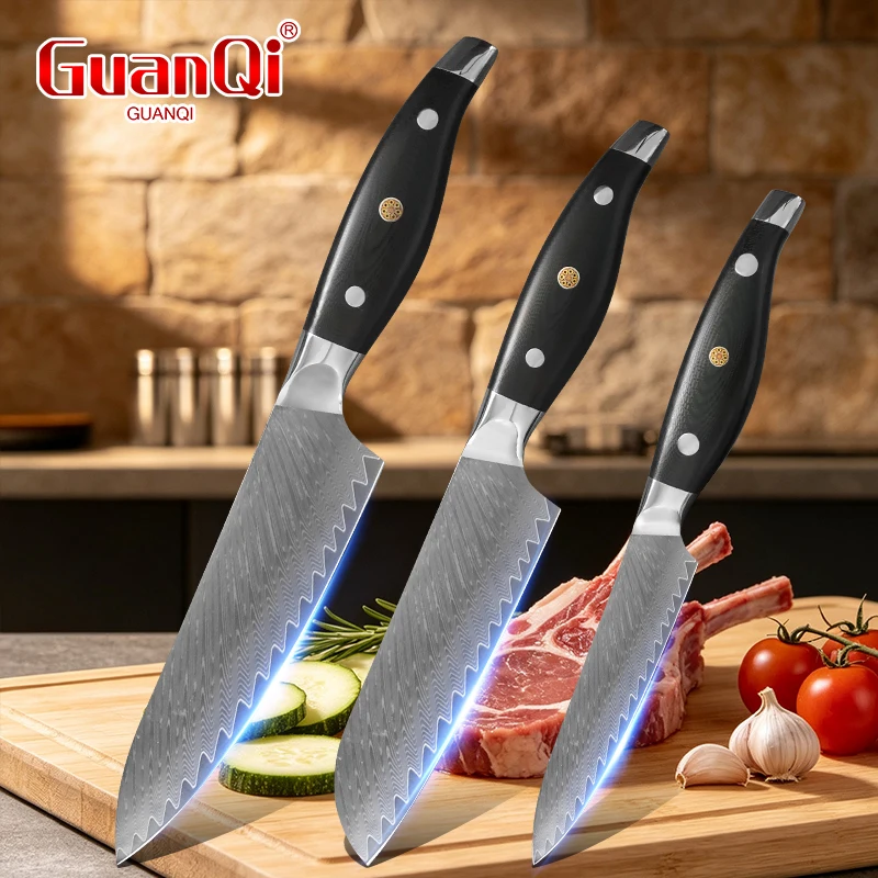 Professional Chef Knife VG10 Damascus Steel Blade Razor Sharp Meat-Cutting and Japanese Cooking Knife for Bread,Santoku,Paring