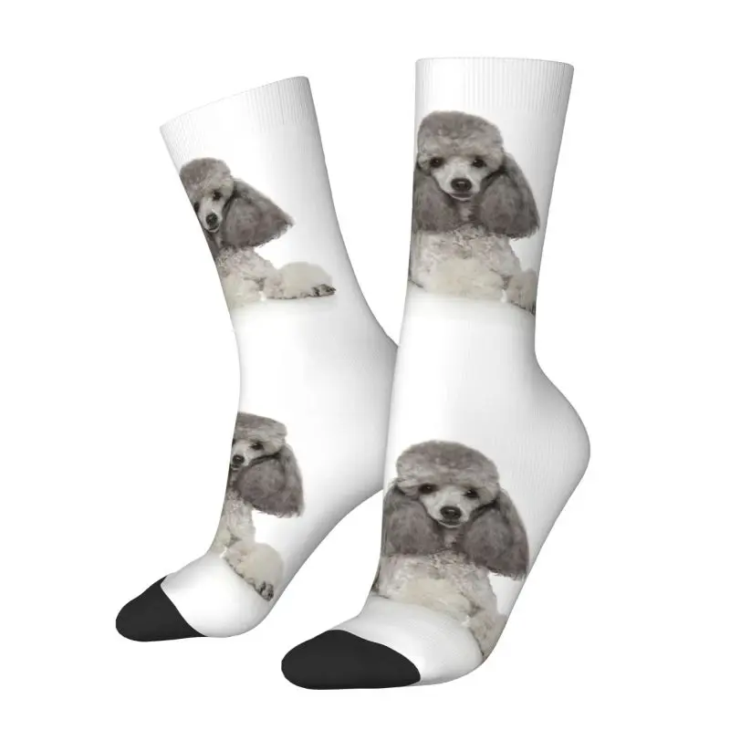 Funny Men's Poodle Dog Dress Socks Unisex Warm Comfortable 3D Print Animal Pattern Crew Socks