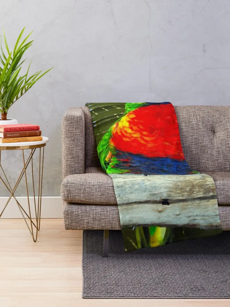 Rainbow lorikeet perched on a branch Throw Blanket valentine gift ideas Decorative Beds Blankets