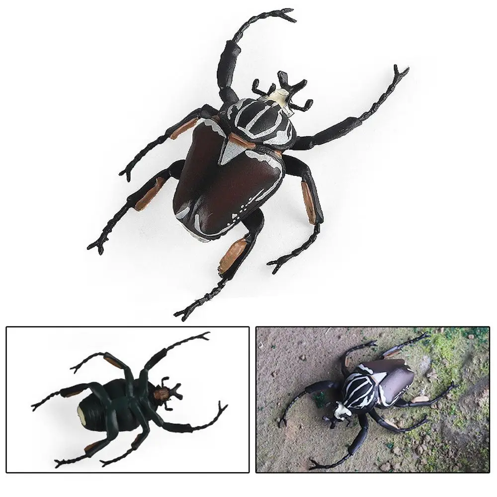 Realistyczne Modele Owadów Dzikie Owady Długorzębka Błyskawica Figurki Akcji Edukacja Naukowa Realistyczne Figurki Owadów