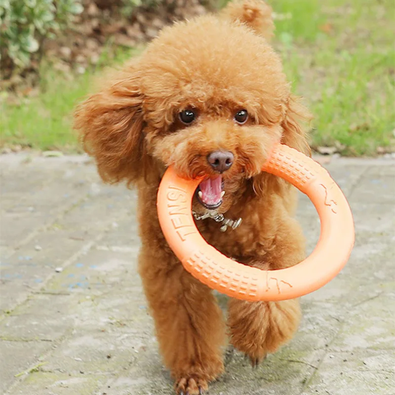Floating Water Dog Toys Pet Flying Disk Training Ring Interactive Toy Puller Resistant Aggressive Chewing for Small Medium Dogs image 5