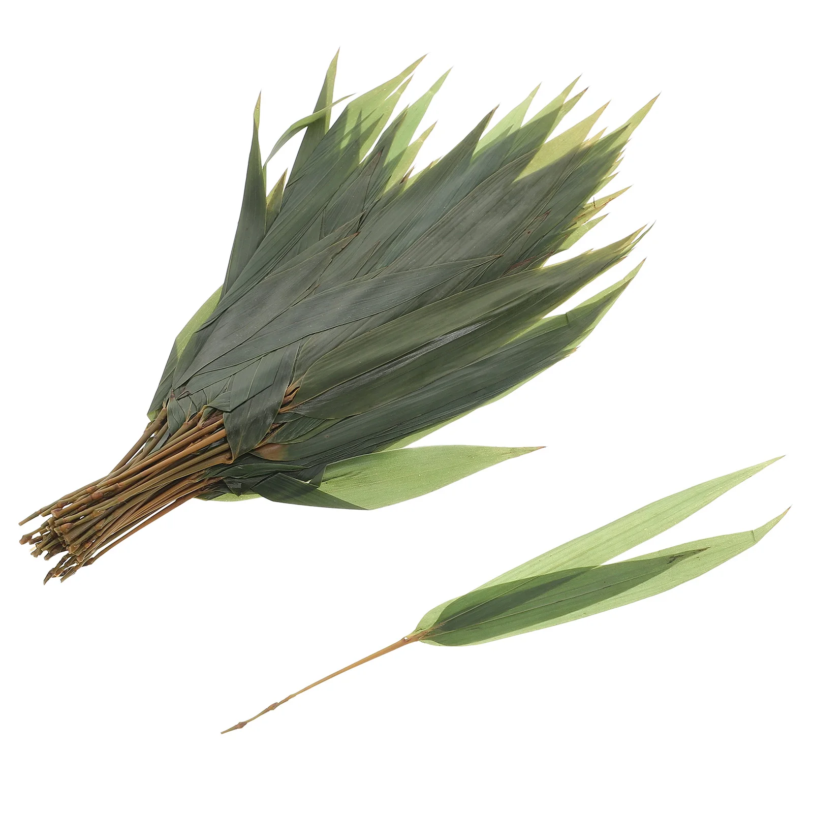 

Bamboo Leaf Decoration 3 Pieces Japanese Sushi Fake Leaves Wide Application Sashimi Plate Decorations Food Photography Backdrops