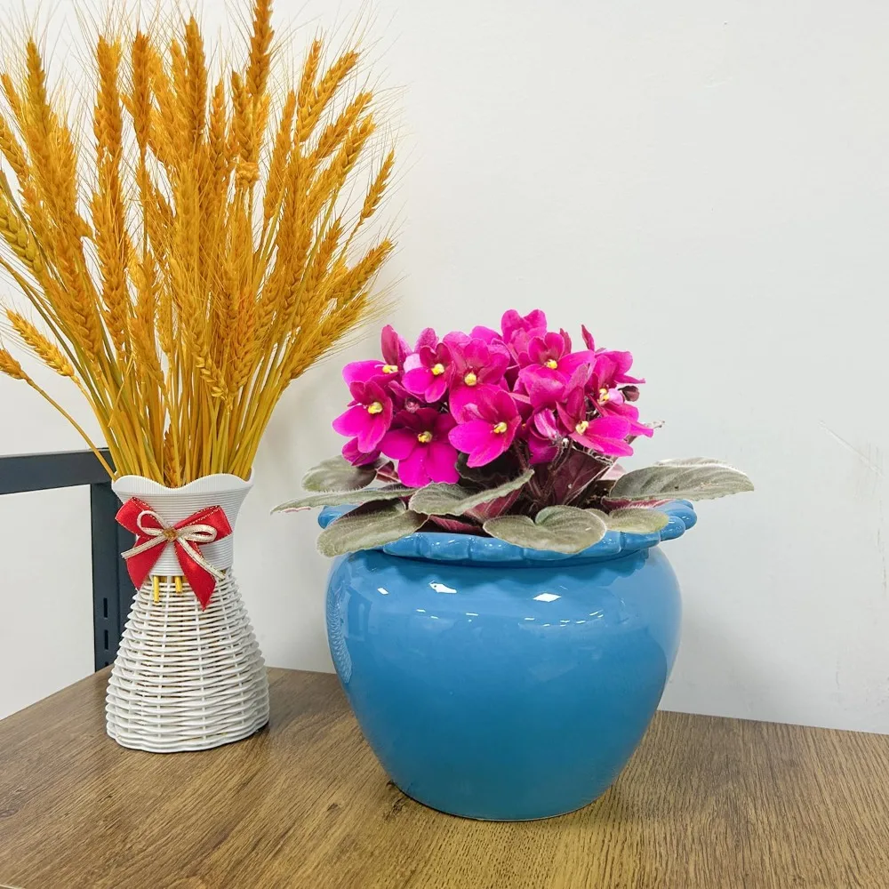 8 Inch Self Watering Ceramic Flowerpot with Absorbing Inner Pot for African Violets Orchids Lawn Yard Decor