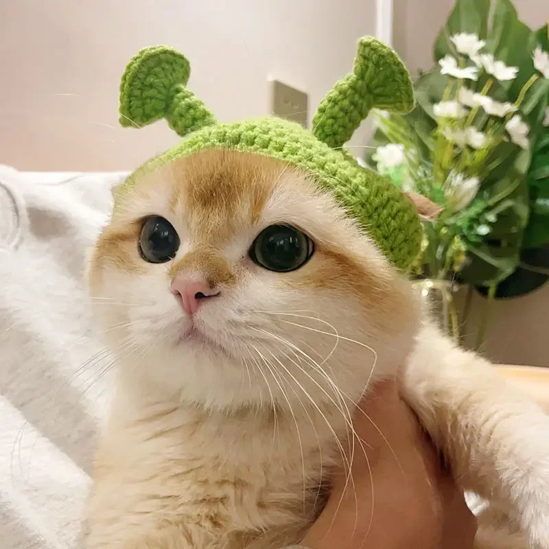 Cat Hat Cute Frog Shape Bunny Ears Funny Pet Cap Kitten Halloween Costume Cat Birthday Small Dogs Puppy Rabbit Sunflower