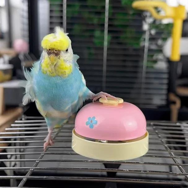 

Игрушка для попугаев: колокольчик-дразнилка для самостоятельных игр, средство от скуки, тренировочные принадлежности, игрушки для животных, без бренда WJGJ-0456_Akx