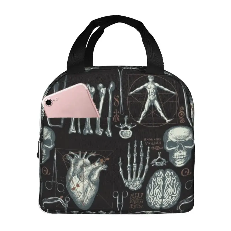 

Изолированная сумка для обеда с принтом анатомии человека для женщин, теплый холодильник, термосумка для обеда, школьный контейнер для еды для пикника, сумка-тоут