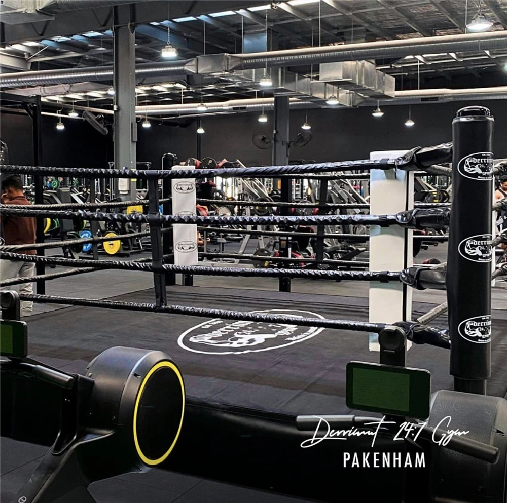 Picture 3: Professional Floor Level Strong Pillars Boxing Ring Frame for Training