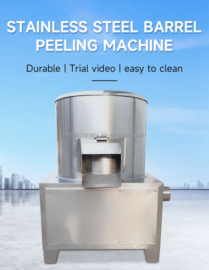 مقشرة بخار أوتوماتيكية، آلة تقشير وغسالة الزنجبيل التجارية #6