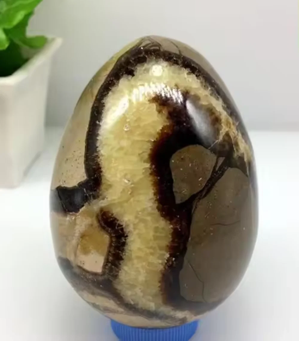 DRAGON SEPTARIAN Polished Egg Ball, High Quality