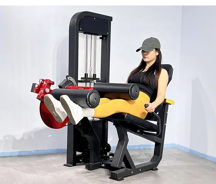 

Commercial Strength Steel Fitness Equipment Seated Leg Flexion Trainer for Weight Lifting Anaerobic Exercise Targets Abdominal
