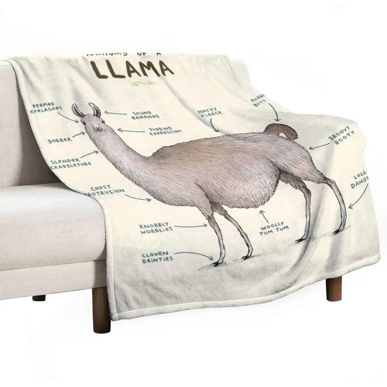 Anatomy of a Llama Throw Blanket Baby wednesday Sofa Quilt warm winter Luxury Throw Hairys Blankets