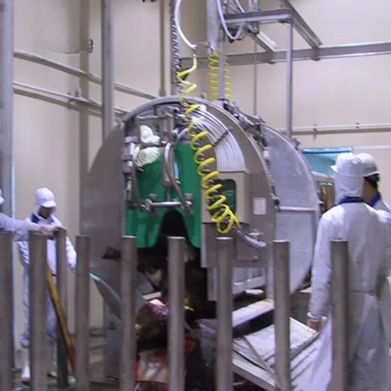 Customizable Rotary Cattle Stunning & Restraining Device Custom Bovine Abattoir Slaughter Equipment