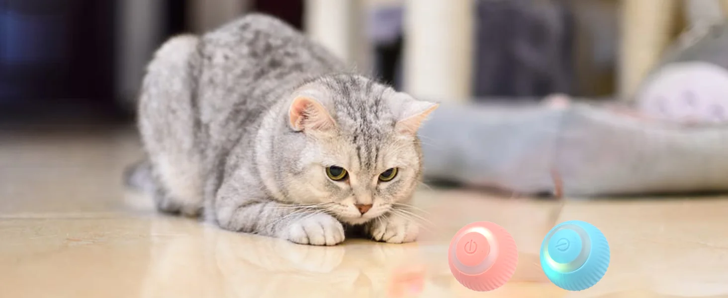 dog ball that moves by itself