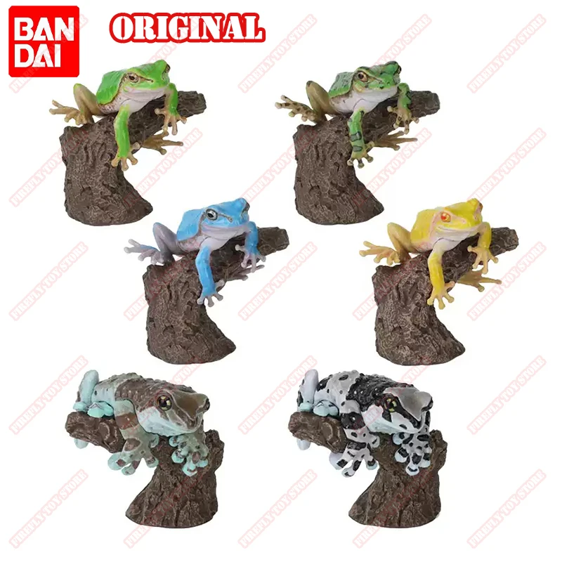 BANDAI Original Toy Ikemono Taisyou ADVANCE Rhacophoridae Gacha Gashapon Anime Action Model Figures Collection