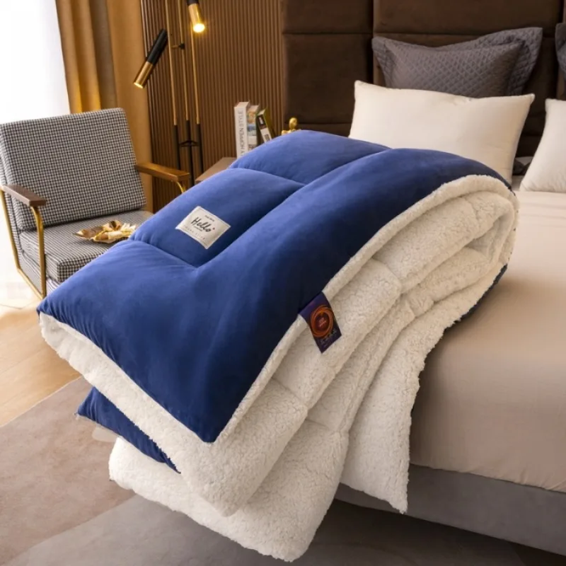 2025 new autumn and winter quilt artificial imitation lamb wool thickened quilt dormitory student bedding soft and warm
