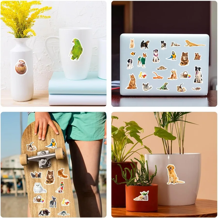660 contagens animais de estimação adesivos com cães gatos coelhos papagaios peixes pássaros e répteis para scrapbooking calendário planejamento p