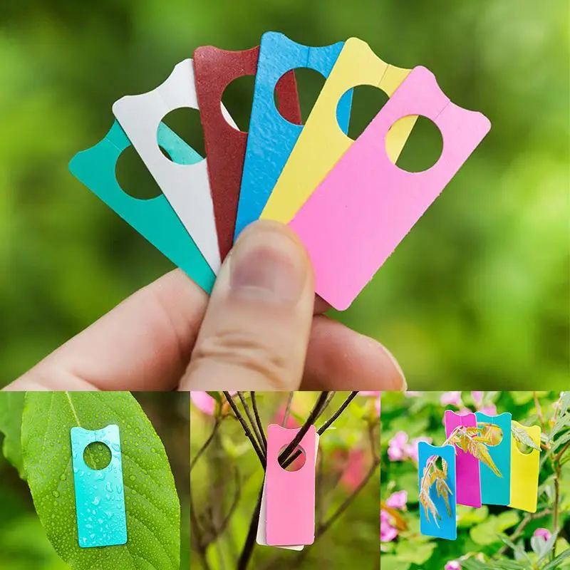 100Pcs etichette di plastica multifunzione etichette di frutta di melone piante portatili giardino Bonsai decorazione carta segno bordo