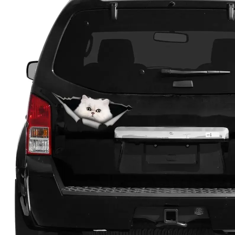 White Persian cat car decal, White cat car decal, Persian cat magnet