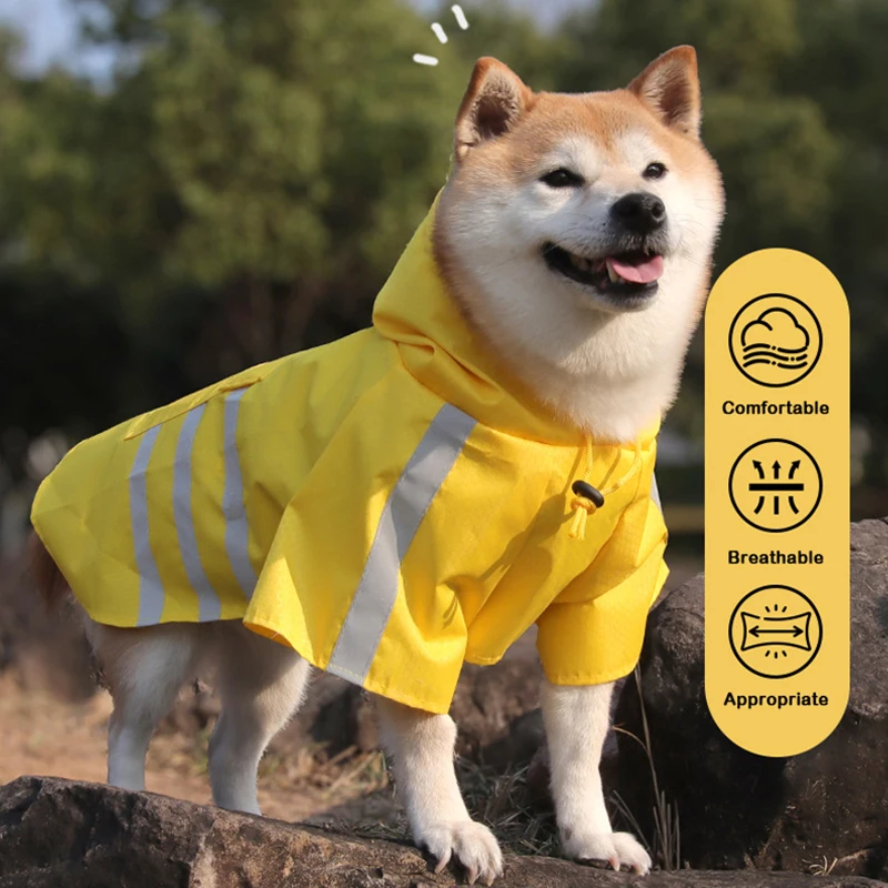 Thumbnail 4 - #2 New Waterproof Puppy Jackets Arrivals