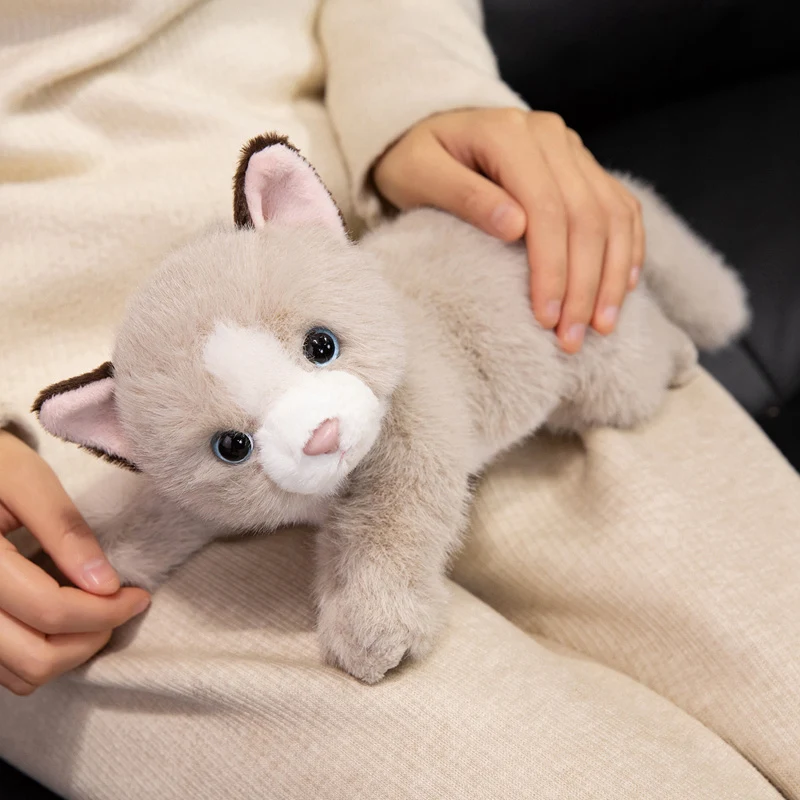 35 سنتيمتر Kawaii القط ألعاب من نسيج مخملي وسادة لينة محشوة الحيوان القط بلوشي دمية عيد ميلاد هدية الكريسماس للأطفال ديكور المنزل #3