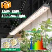 Full Spectrum LED Grow Light 80W 160W SMD2835 LED Growth Lamp For Greenhouse Plant High Color Rendering Lighting For Veg Flowers