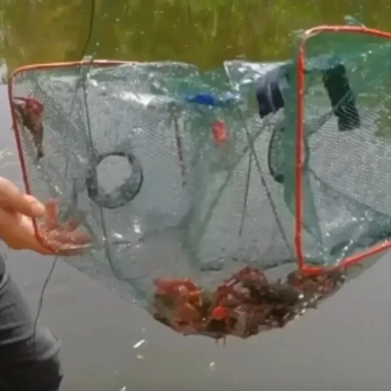 Premium Collapsible Fish & Crustacean Trap 3