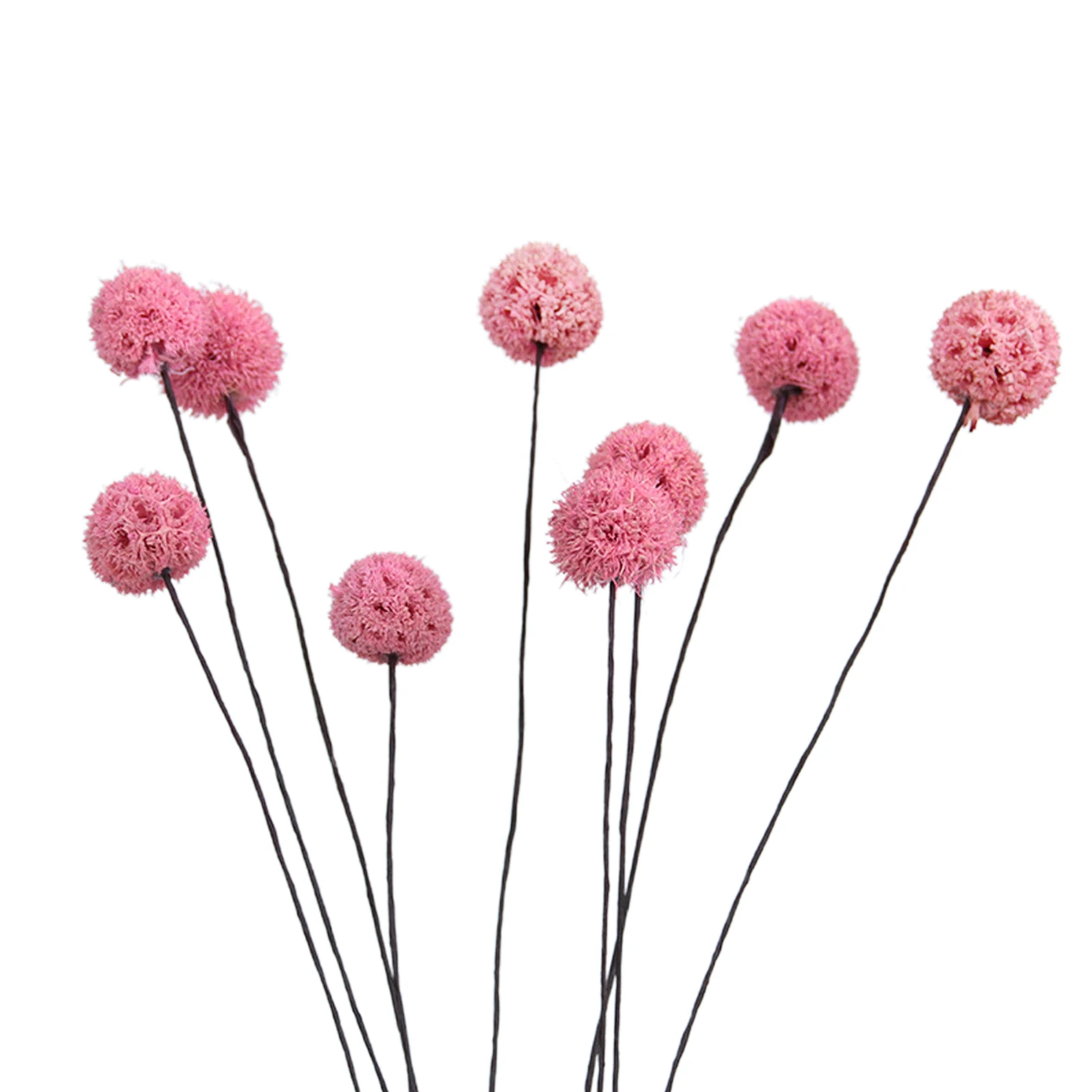 1pc 40cm Billy Ball Flowers Dried Flowers Artificial Dried Flowers Home Garden Decoration