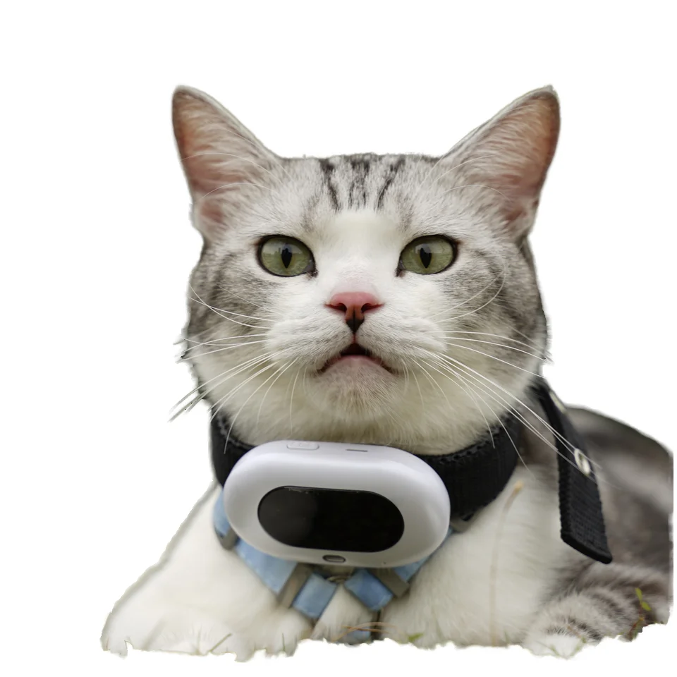 

Smart Pet GPS Tracker Anti-Lost Device Automatic Beidou WIFI GLONASS Positioning 1300mAh IP67 Waterproof Battery for Cats Dogs