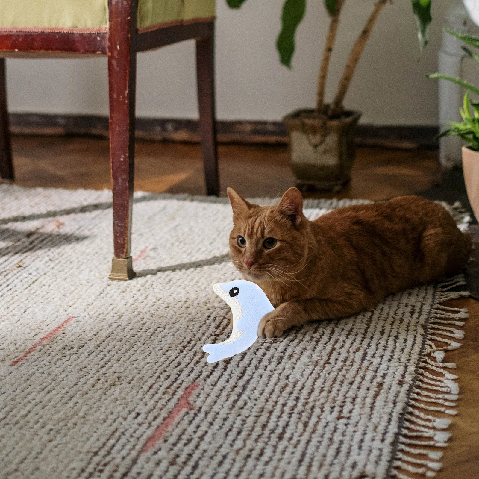 

3Pcs Dolphin Shape Interactive Cat Soft Chewing Kickers Set Engaging Indoor Play Cat Pet Accessories Kit Dolphin Stuff