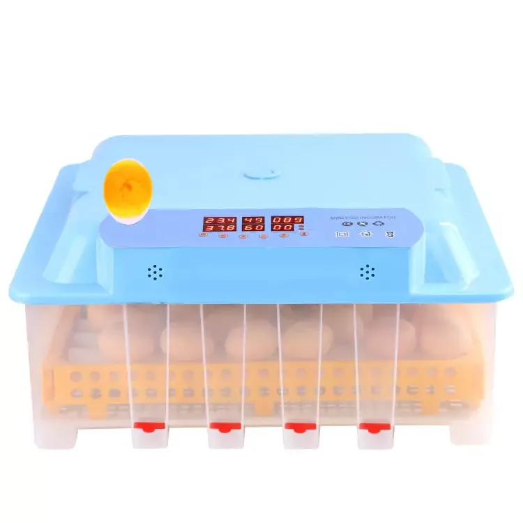 110v/220v/12v Digtail 6 Display Thromostats Mini Chicken Incubator With Mulit Egg Tray For Chicken, Duck, Goose, Quail,