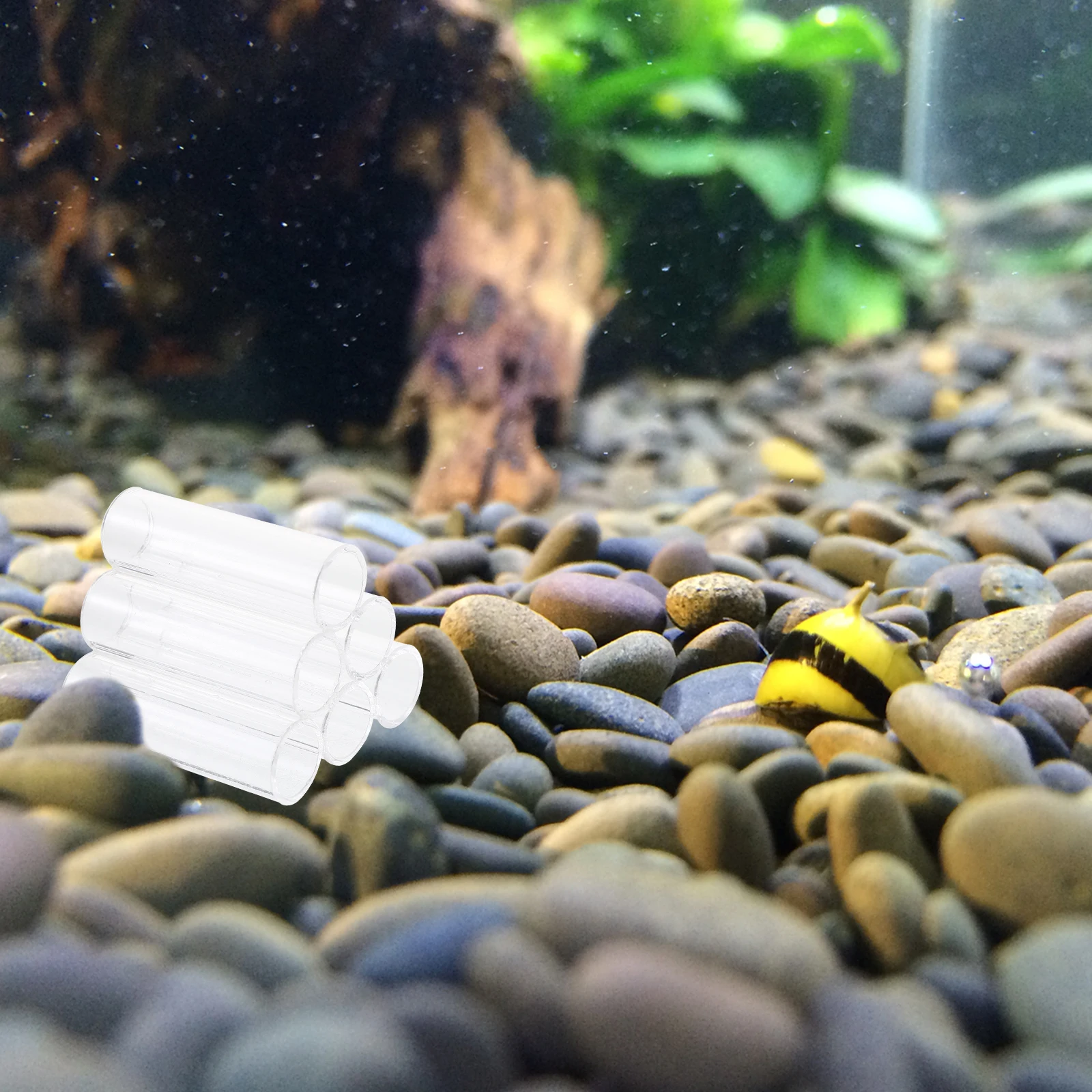 

Crystal Shrimp House Acrylic Shelter Aquarium Breeding Tube Fish Tank nament Pet Supplies Shrimp Cave