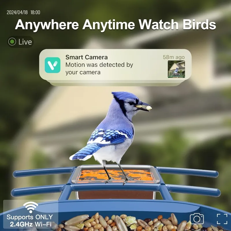 وحدة تغذية الطيور مع كاميرا تعمل بالطاقة الشمسية: كاميرا ذكية لتغذية الطيور كاميرا تغذية حية 2K للفناء الخلفي في الهواء الطلق - تحديد الذكاء الاصطناعي التلقائي