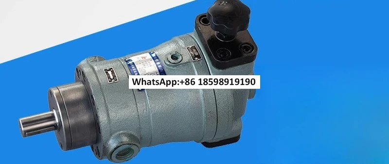 

10SCY 25SCY 40SCY 63SCY 80SCY 100SCY 160SCY14-1B plunger oil pump