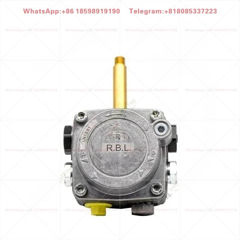 Original Imported Riello Burner Oil Pump Burner Accessories 40G Pressure Pump