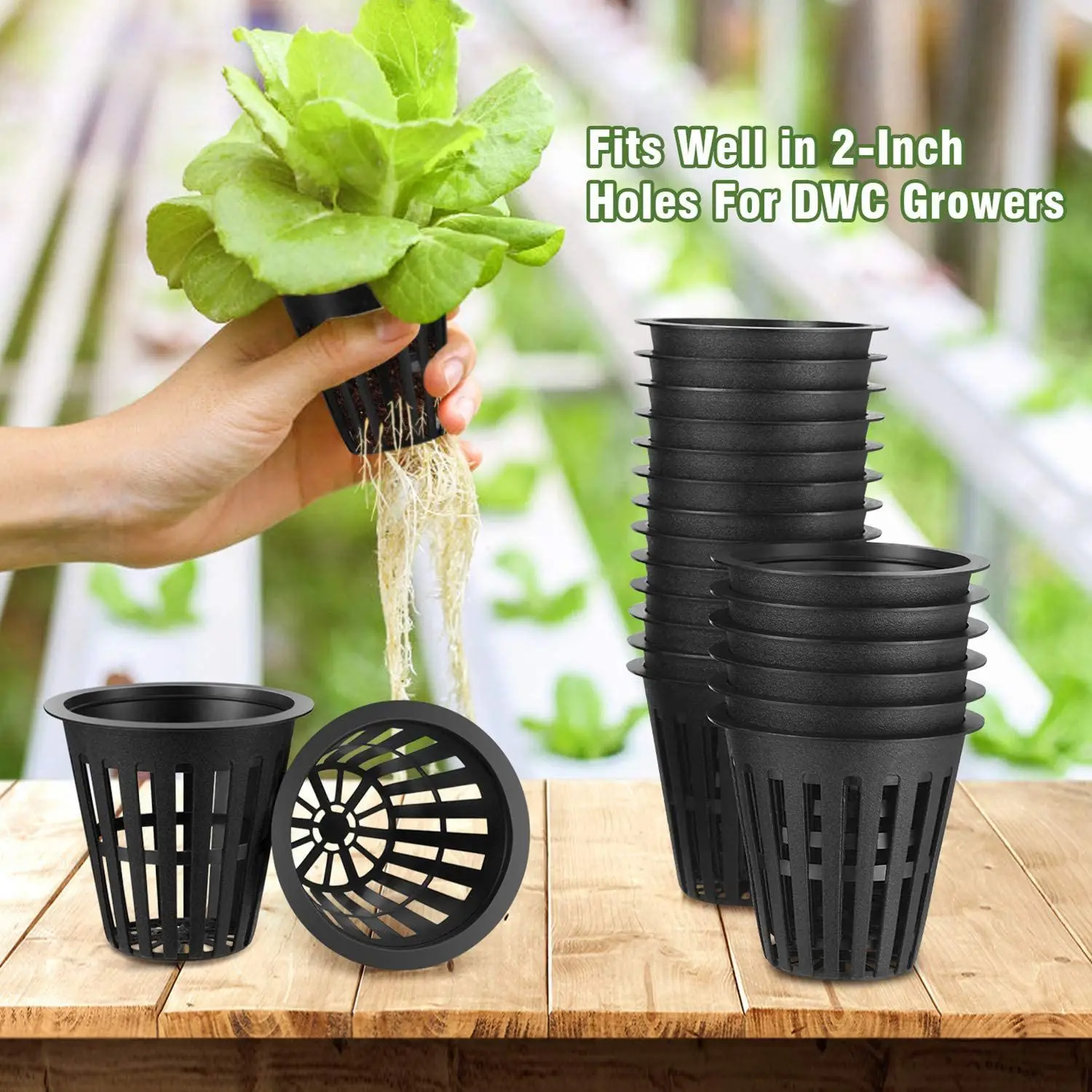 Copos líquidos para hidroponia, malha entalhada, filtro de lábios largos, vaso de plantas, cesta de balde, 2 in, 60 Pack