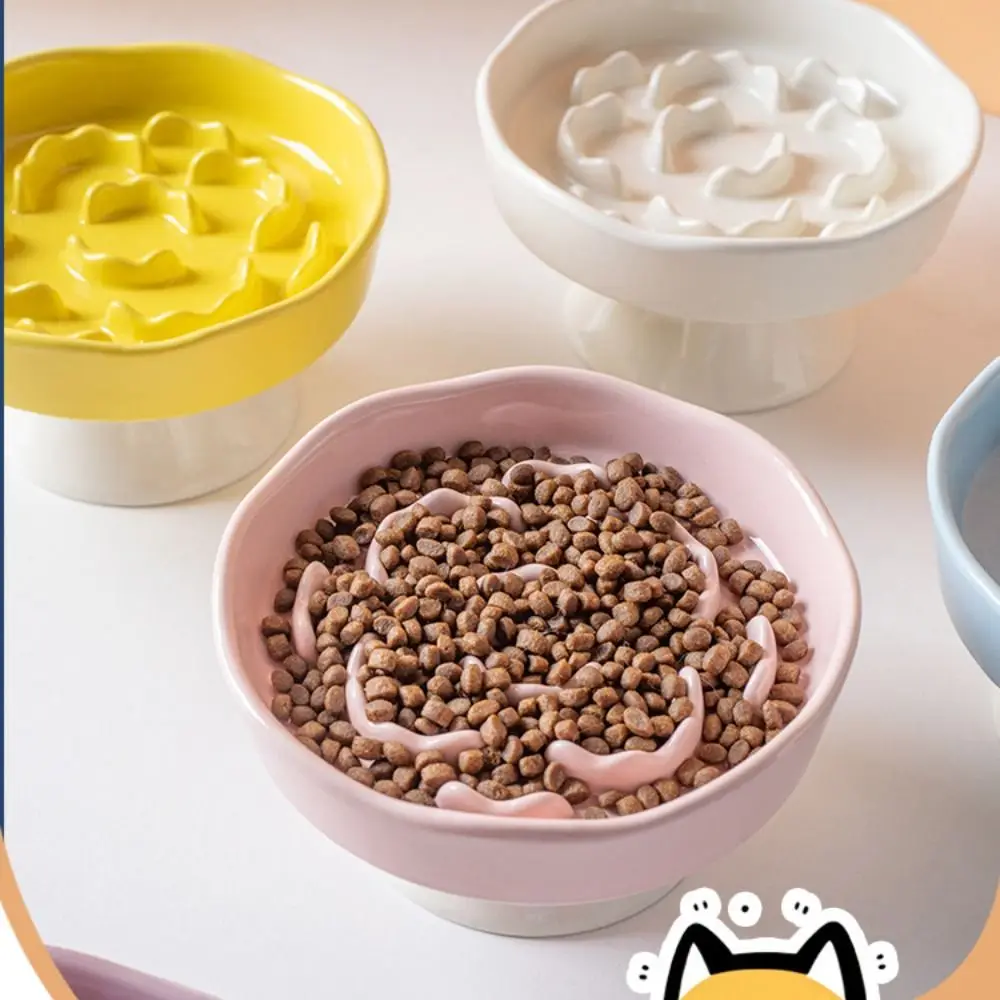 Thumbnail 4 - #46 Latest Pet Food Containers Offers