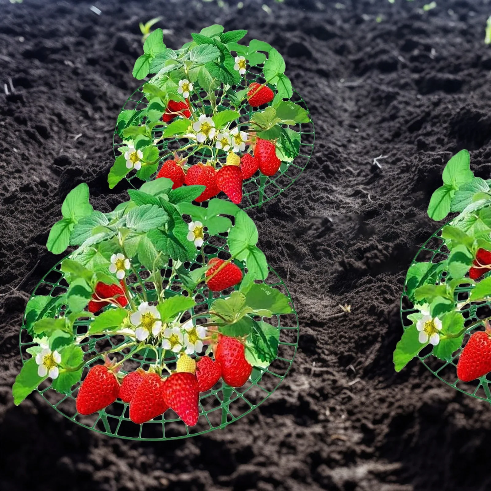 

6Pcs Strawberry Planting Rack Plastic Durable Climbing Bracket Growing Supports Strawberry Rack Climbing Plant Support