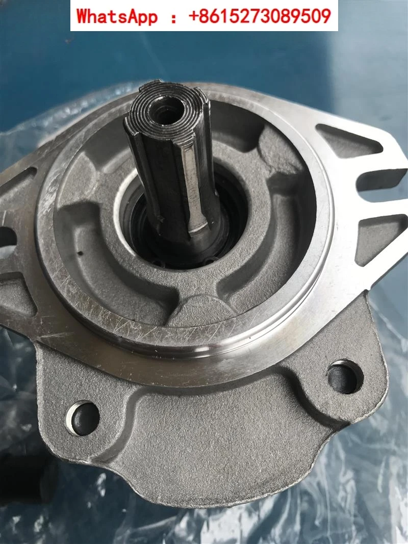 Hydraulic gear pump CBK1016-AIFR CBK1016-B2FR B2FL 1020 1025 1012