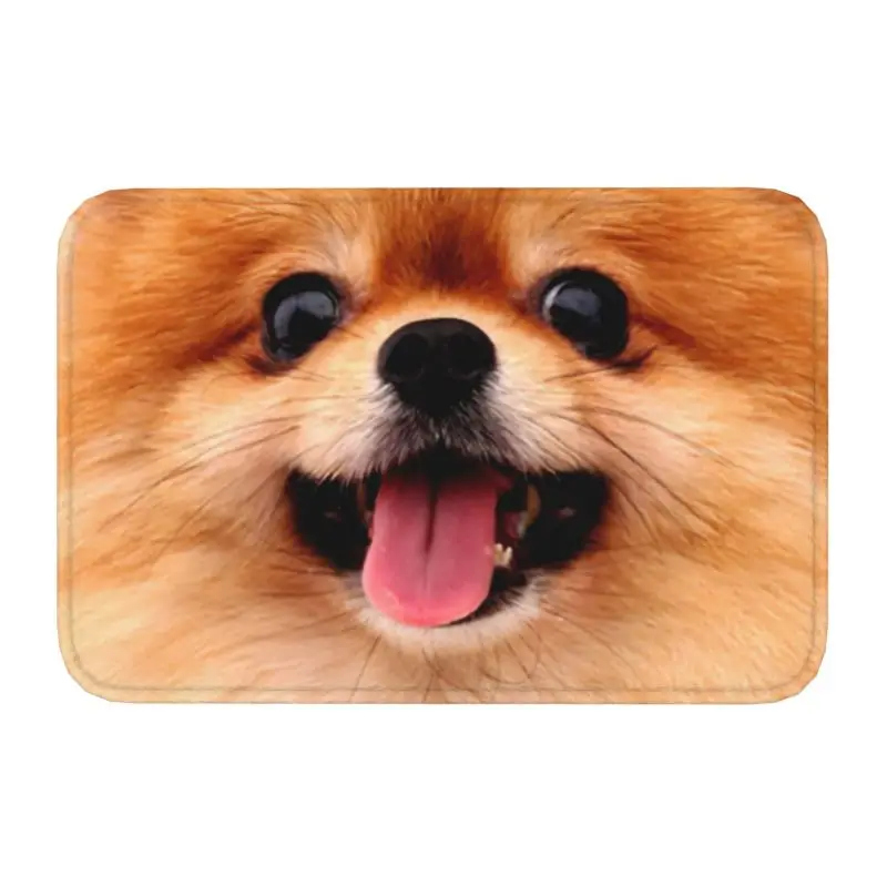 Pomeranian Puppy Floor Door Kitchen Bathroom Mat Anti-Slip Outdoor Spitz Pom Dog Doormat Garden Entrance Rug Carpet Footpad