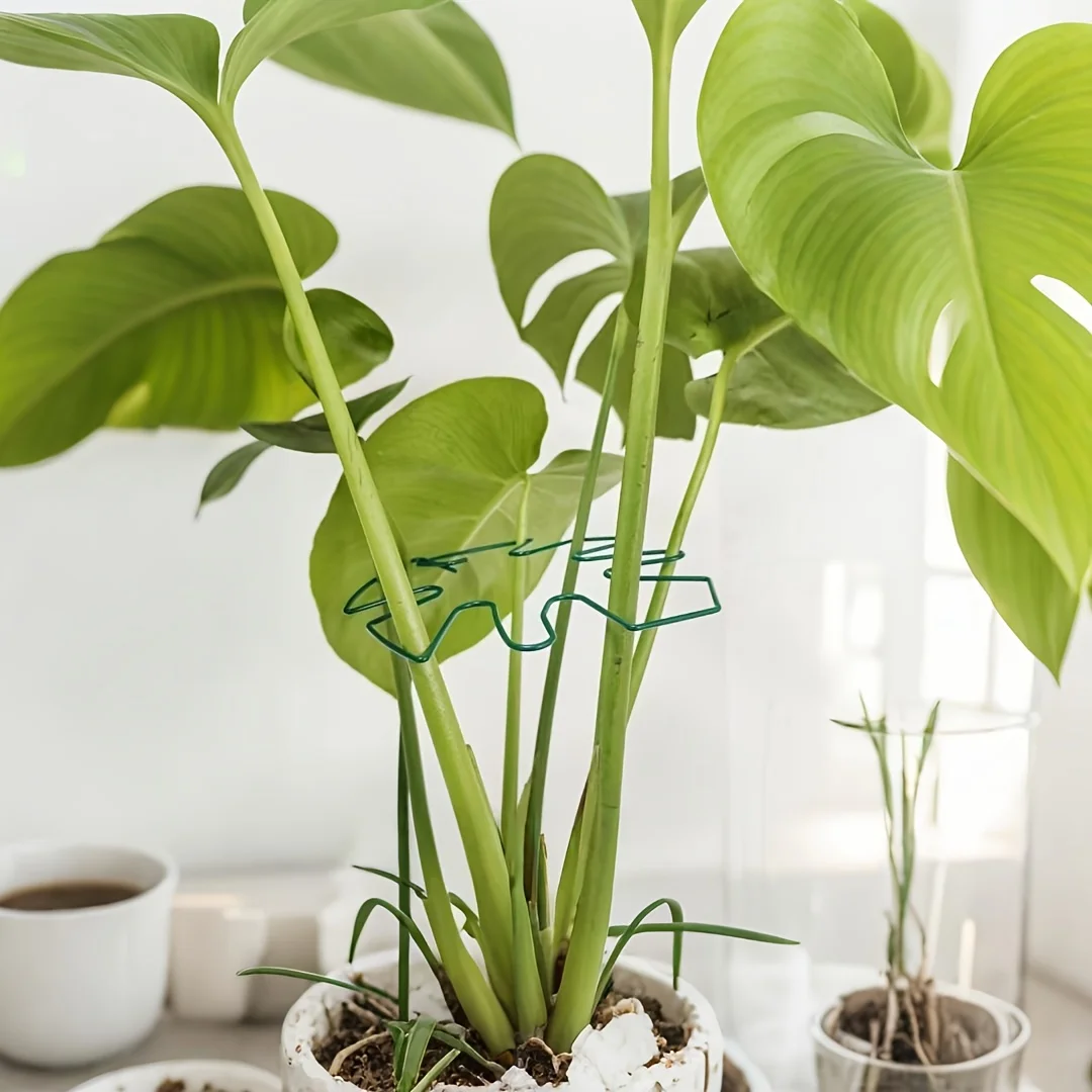 Système de support Monstera robuste – Entraîneur de plantes grimpantes en métal, Structure de jardin sûre et esthétique |   Support pour plantes grimpantes