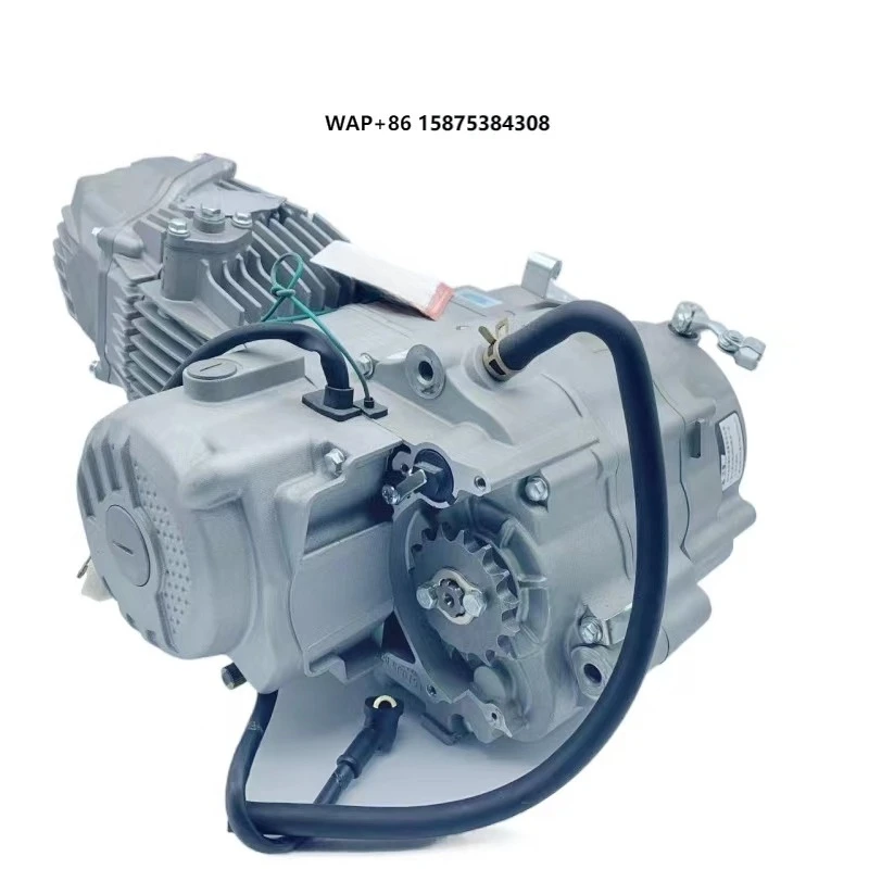 

Customized Zongshen Engines 190cc Motorcycle Accessory for All Kinds Motor Bicycle Three-wheeler Zongshen W190 for Harley