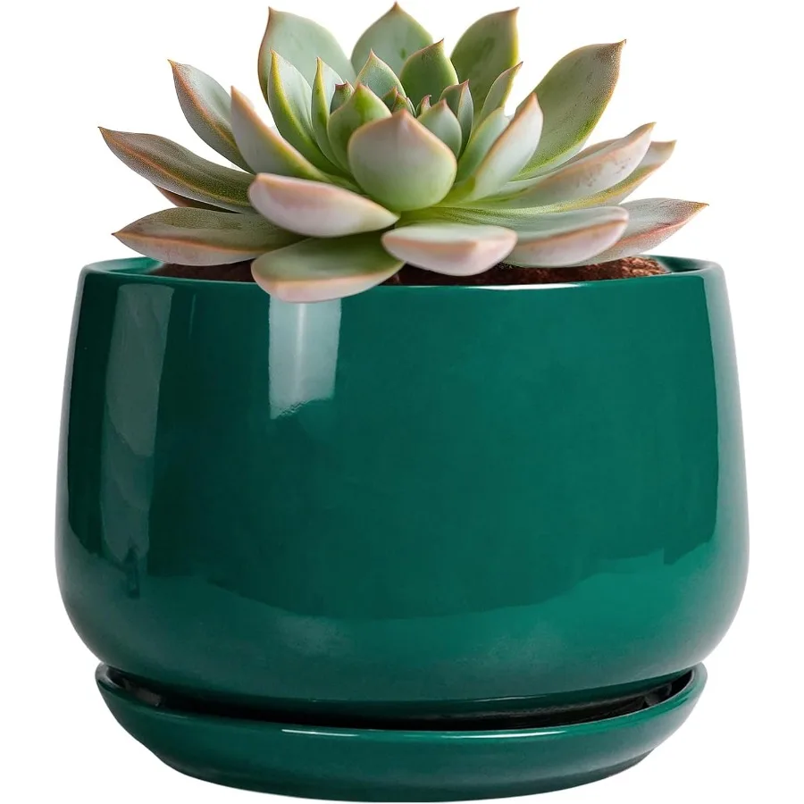 

6 Inch Plant Pot Ceramic Planter for Indoor Plants Round Planter with Drainage and Ceramic Tray Flower Pots for Outdoor Modern