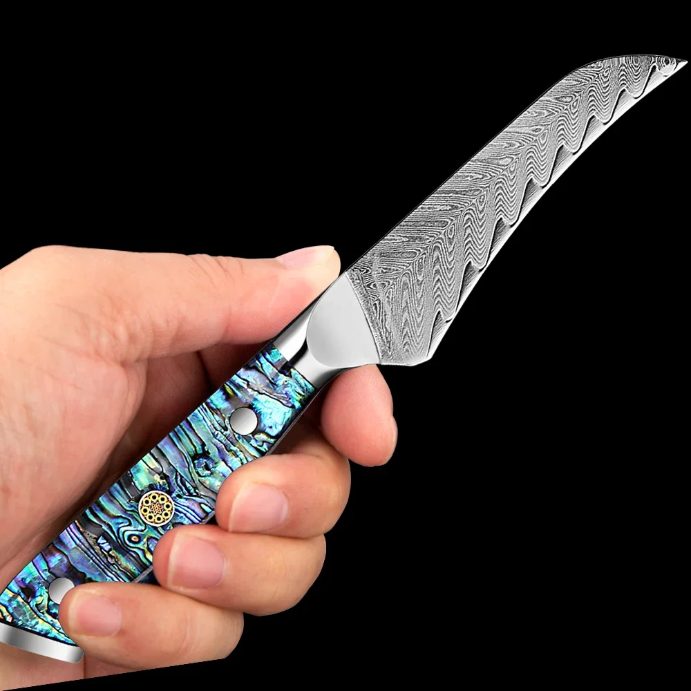 

Damascus VG10 Japanese Super Steel 3.5 Inch Bird's Beak Peeling Paring Knife Vacuum Treated Razor Sharp Kitchen Utility Knife